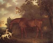 Clifton Tomson A Bay Hunter and Two Hounds in A Wooded Landscape Spain oil painting artist